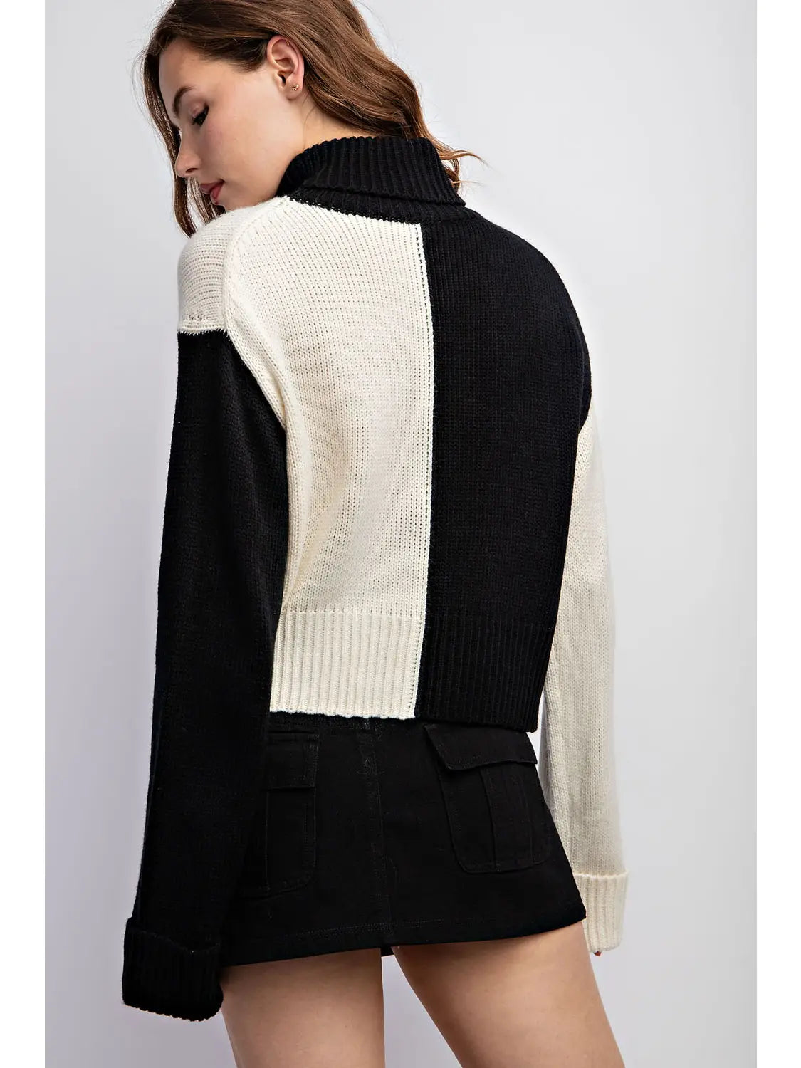 Colorblock Turtleneck Sweater