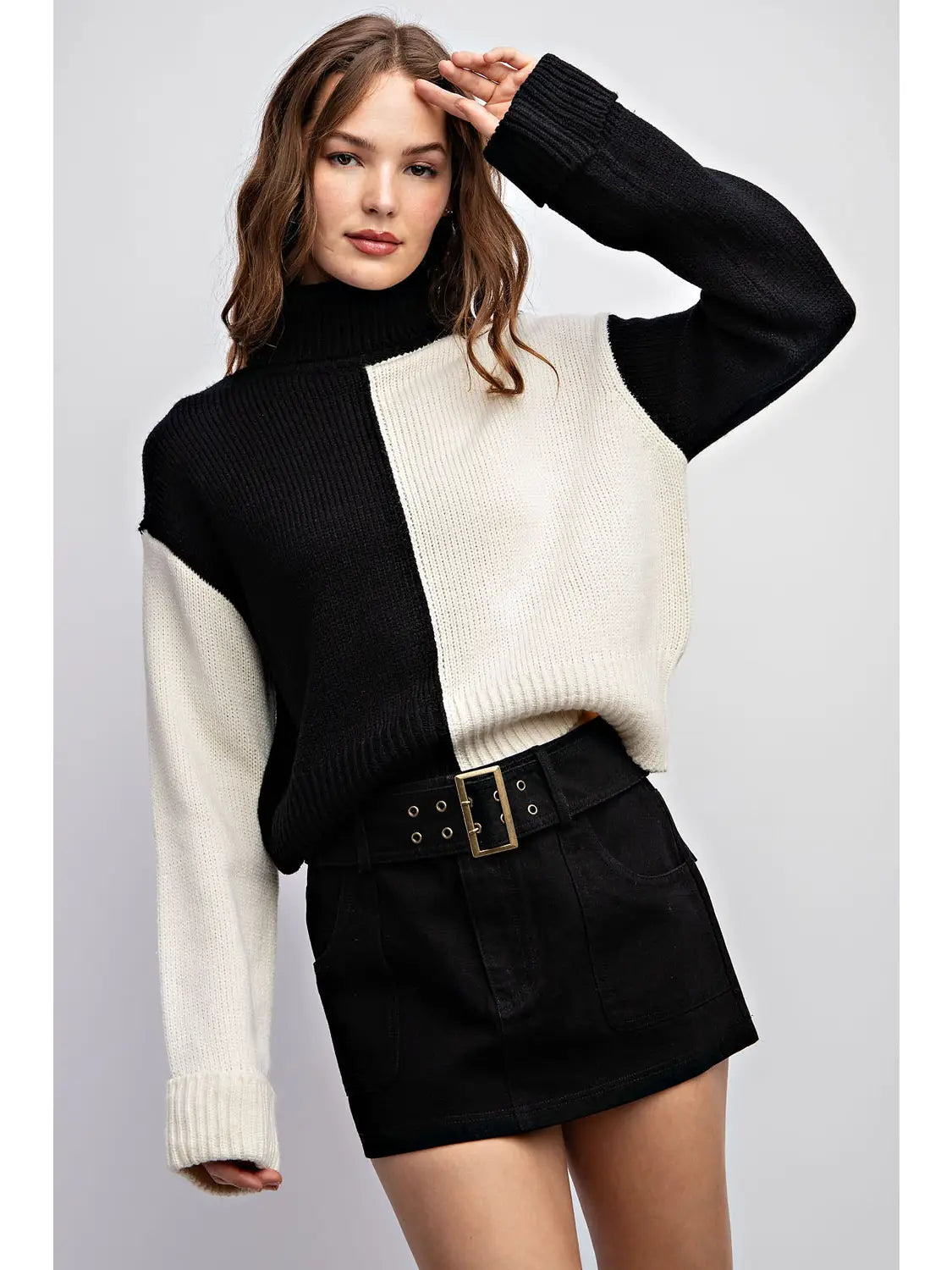 Colorblock Turtleneck Sweater