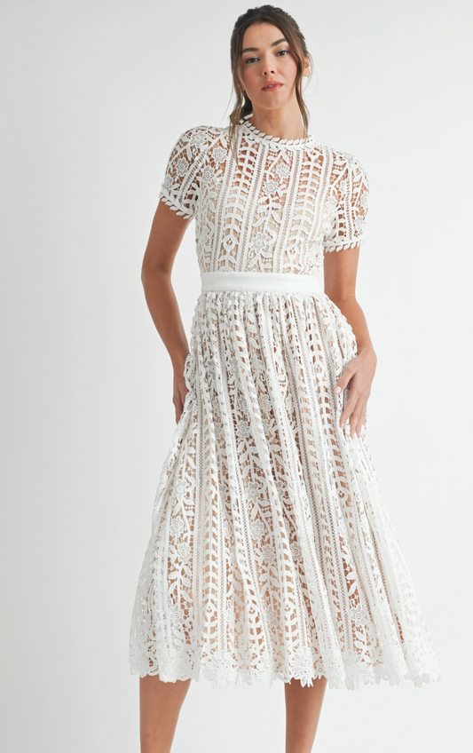 Elegant Delphine Lace Midi Dress