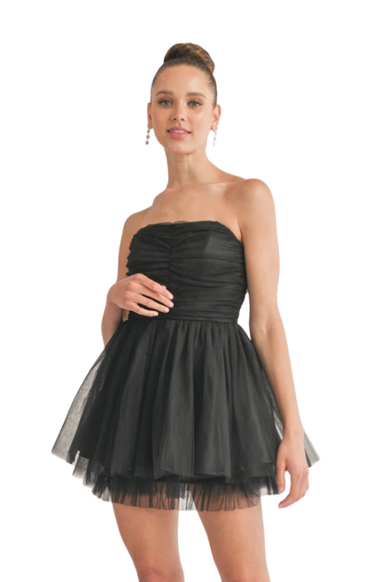 Ayla Tube Layered Tulle Mini Dress