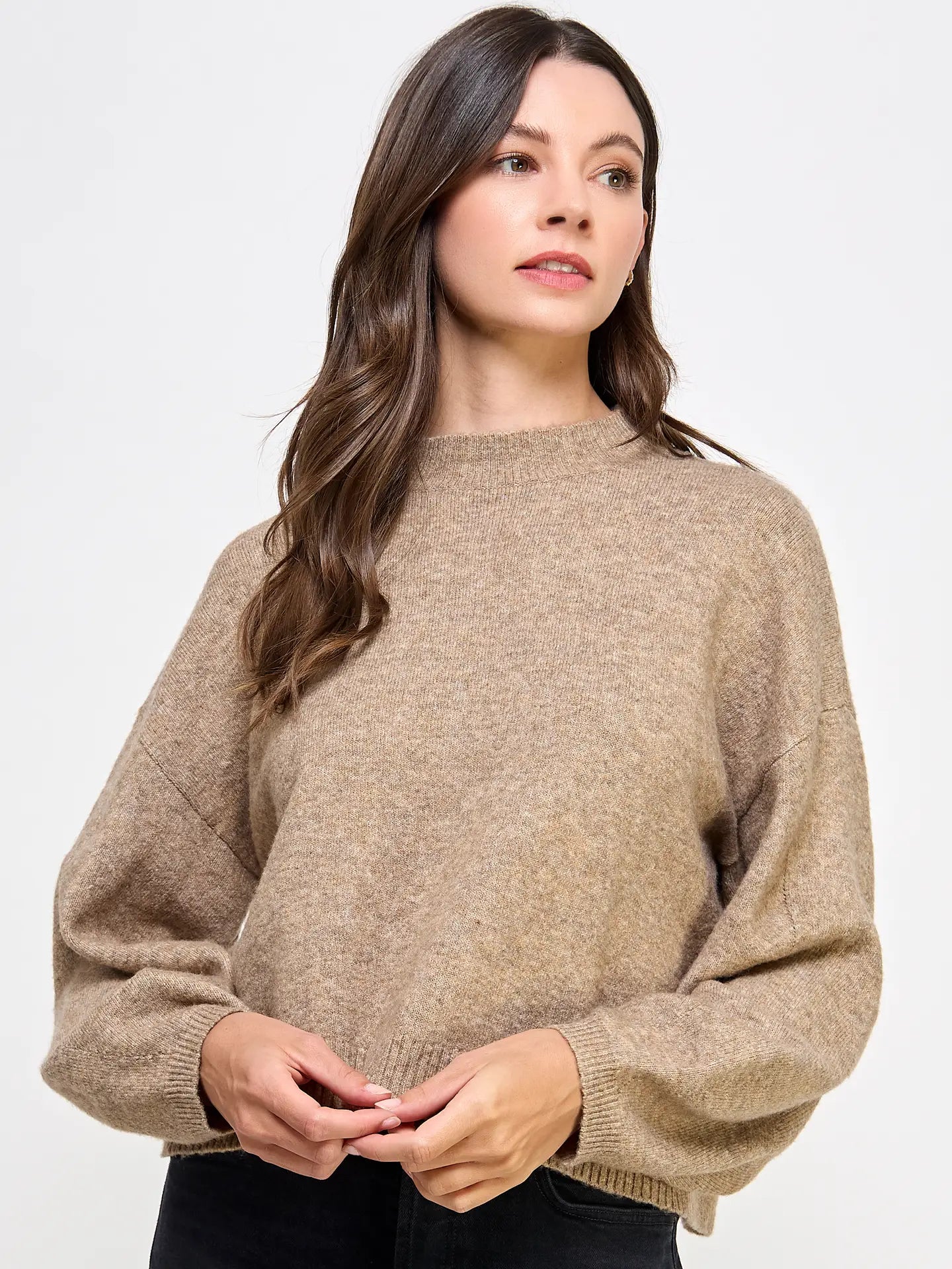 Crew Neck Balloon Sleeve Sweater Mocha