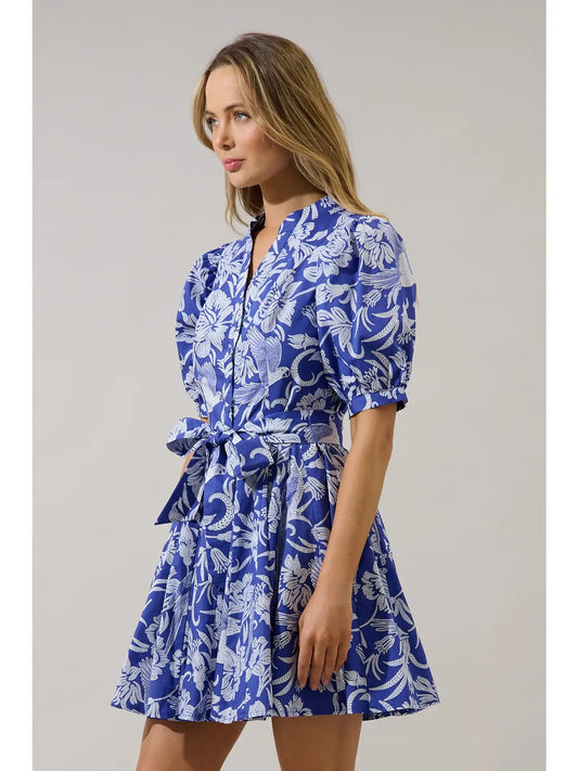 Viry Floral Pleated Mini Dress